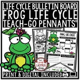 Amphibian Frog Life Cycle Activity Spring Science Lesson B