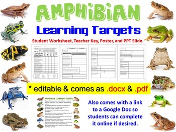 Preview of Amphibian Learning Targets & Review Questions - comes as .docx .pdf & Google Doc