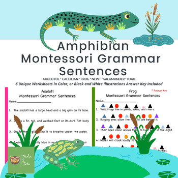 Preview of Amphibian Montessori grammar Sentences