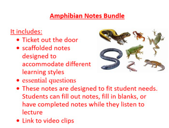 Preview of Amphibian Notes Bundle