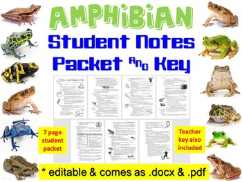 Preview of Amphibian Notes - Student Handouts and Teacher Key for Biology & Zoology