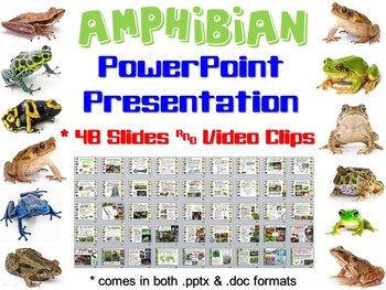 Preview of Amphibian PowerPoint Presentation for Biology & Zoology