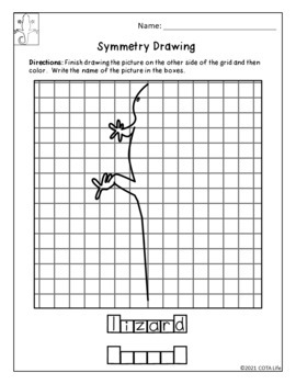 Amphibian & Reptile Symmetry Drawing Packet by COTA Life | TPT