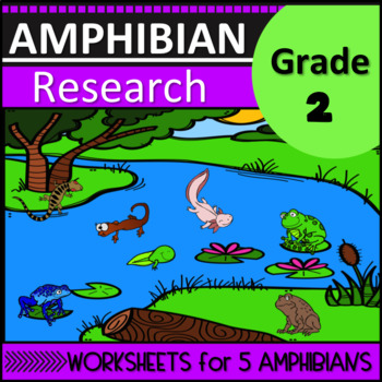 Preview of Second Grade Amphibian Research Worksheets