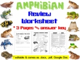 Amphibian Review Worksheet for Biology & Zoology (Paper Co