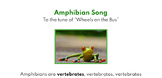 Amphibian Song
