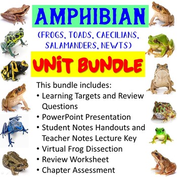 Preview of Amphibian Unit Bundle (Frogs, Toads, Caecilians, Salamanders, Newts)