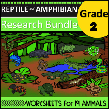 Preview of Second Grade Amphibian and Reptile Research Worksheets Bundle