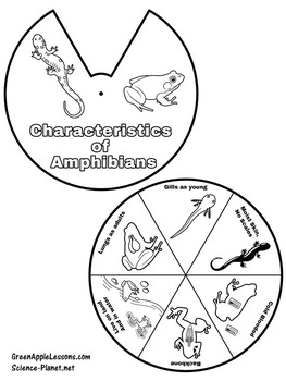 Amphibians | Kindergarten 1st 2nd 3rd Grade | Reptiles and Amphibians Craft