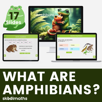 Preview of Amphibians Explained: Kindergarten & First Grade Science Unit