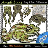 Amphibians: Frog & Toad Differences Clip Art, Realistic Sc
