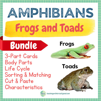 Preview of Amphibians- Frogs and Toads BUNDLE: 3-Part Cards, Life Cycle, Characteristics...