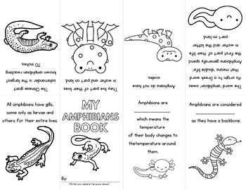 Preview of Amphibians Mini Book Foldable