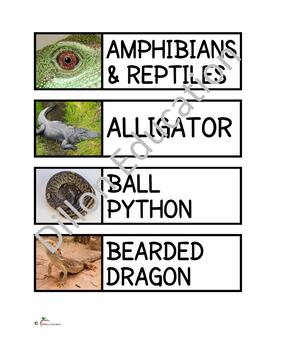 Preview of Amphibians & Reptiles Unit