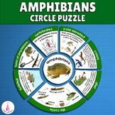 Amphibians Study Animal Group Classification Montessori Ac