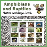 Animal Classification  Amphibians and Reptiles Bingo, Post