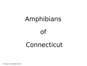 Preview of Amphibians of Connecticut - Integrated Science & Math (content)