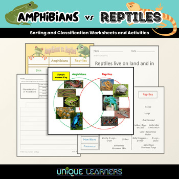 Amphibians vs Reptiles Classification Activities by Unique Learners