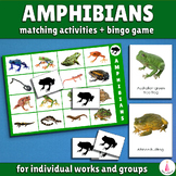 Amphibians Bingo Activity Cards Montessori