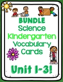 Amplify Bundle: Kindergarten Vocabulary and Key Ideas for 
