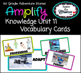 Amplify CKLA Knowledge Unit 11 Image Cards: 1st Grade