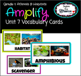 Amplify CKLA Knowledge Unit 7 Image Cards: 1st Grade