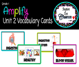 Amplify Knowledge Unit 2 Image Cards: 1st Grade