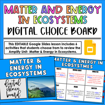 Preview of Amplify Matter & Energy in Ecosystems Digital Choice Board