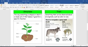 Preview of Amplify Science Grade 3 Unit 1 Vocabulary Cards