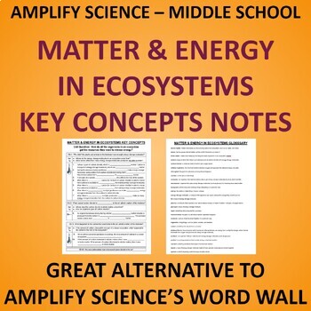 Preview of Amplify Science Matter & Energy in Ecosystems Key Concepts Notes