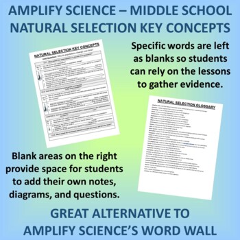 Preview of Amplify Science Natural Selection Key Concepts Notes