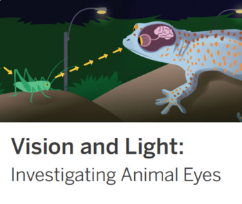 Preview of Amplify Science Vision and Light Chapter 1 Quiz
