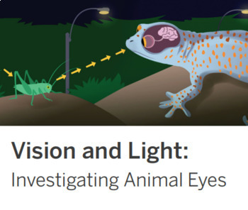 Preview of Amplify Science Vision and Light Chapter 2 Quiz 