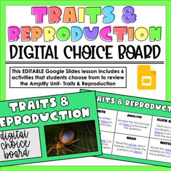 Preview of Amplify Traits & Reproduction Digital Choice Board