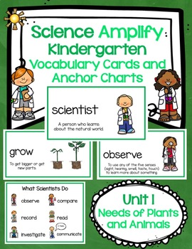 Preview of Amplify Kindergarten Unit 1 Vocabulary Cards with Anchor Charts and Key Ideas