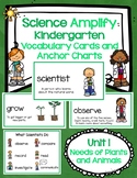 Amplify Kindergarten Unit 1 Vocabulary Cards with Anchor C