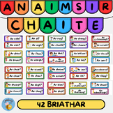 An Aimsir Chaite: 42 Briathra Sna Aimsir Chaite Teaching Resource