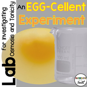 Preview of An EGG-Cellent Experiment for Investigating Osmosis and Tonicity