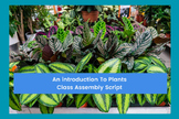 An Introduction To Plants - Class Assembly Script