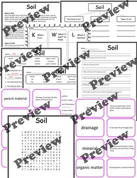 An Introduction to Soil - Vocabulary, Comprehension, Graphic Organizer