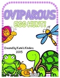 An Oviparous Animals Egg Hunt!