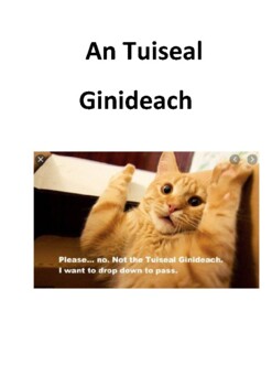 Preview of An Tuiseal Ginideach - Answer Booklet