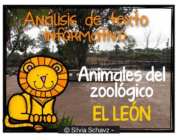 Análisis de texto informativo de animales del zoológico - Leones