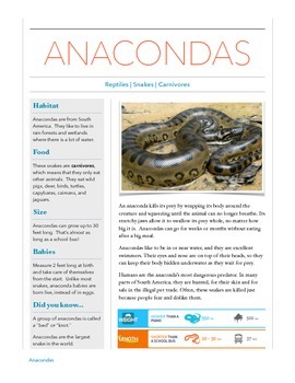 Preview of Anaconda - Animal Informational Reading Passage