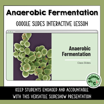 Preview of Anaerobic Fermentation Google Slides Lesson