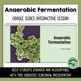 Anaerobic Fermentation Google Slides Lesson