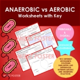 Anaerobic vs. Aerobic Reactions Worksheets (Digital & Printable)
