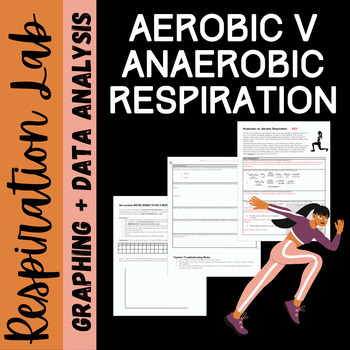 Preview of Anaerobic vs. Aerobic Respiration Lab