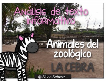 Wildlife Zoo con forma de animales Anillo De Cambio De Color Humor termocromica León Panda Rhino