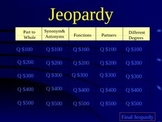 Analogy Jeopardy Game